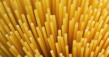 Spaghetti Italian pasta
