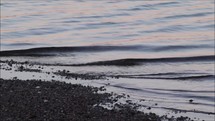 lapping water and waves at dusk 