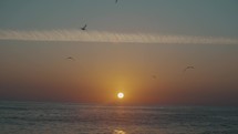 Birds flying during sunset in Bacocho beach, Mexico	