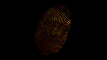 Various Fingerprints Running in Alpha Channel