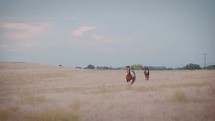 Two horses look on in a dry pasture