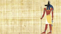 Egyptian God of Death Anubis on a Papyrus Background 4K