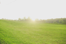 sunlight on green grass 