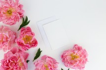pink flowers and envelopes on white background 