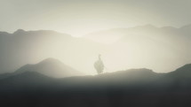 Greek Soldier Standing with Full Armor on a Mountain