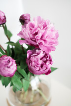 pink flowers in a vase 