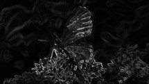  Butterfly on green plants in spring in slow motion for worship, abstract church background.