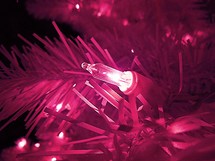 Christmas tree lights pink 