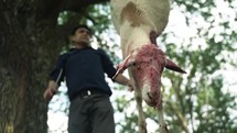 Sheep meat being cut and prepared for middle eastern, Muslim religious holiday or celebration Eid Al Adha in cinematic slow motion by muslim man with a knife.