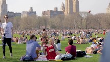 New York weekend manhattan central park sheep meadow crowded panorama 
