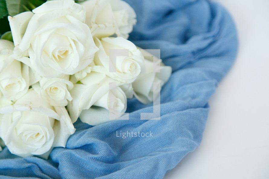 white roses on a blue scarf 