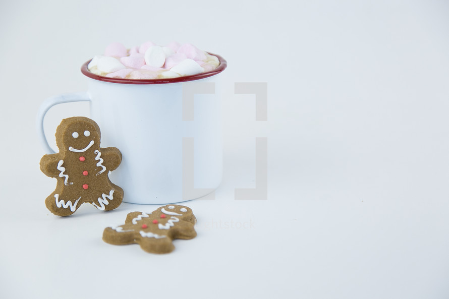 ginger bread cookies and hot cocoa 