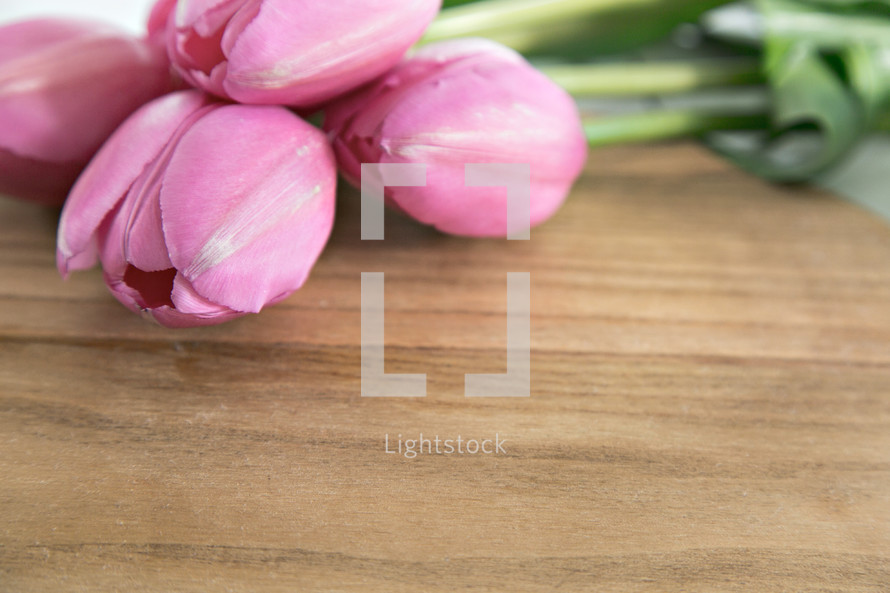 pink tulips on wood 