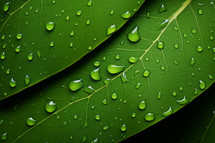 AI Generated Image. Close up view on a green leaf background with water drops