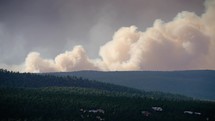 Wildfire burning out of control in northern New Mexico