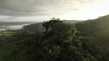 Lush Jungle Sunrise Costa Rica