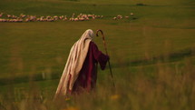 Lonely and anonymous shepherd with his flock of sheep in the meadow. 
Symbolic scene of Jesus Christ, the Good Shepherd.
