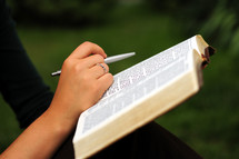person reading the Bible in the grass 
