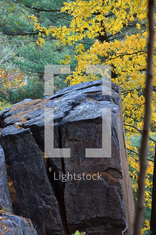 Large rock next to fall tree