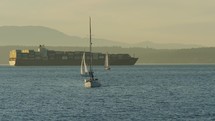 Multiple sailboats pass in front of shipment container vessel, slow-motion 
