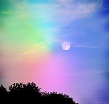 Silhouette of tree tops with the moon and a rainbow sky.