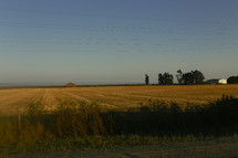 a plowed field 