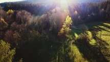 Aerial of a forest towards the sun. Sun rays and flares above autumn forest. Bird's eye view.