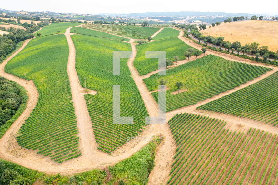 Aerial of Vineyard in countryside for production of wine
