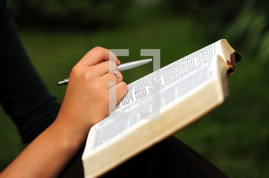 person reading the Bible in the grass 