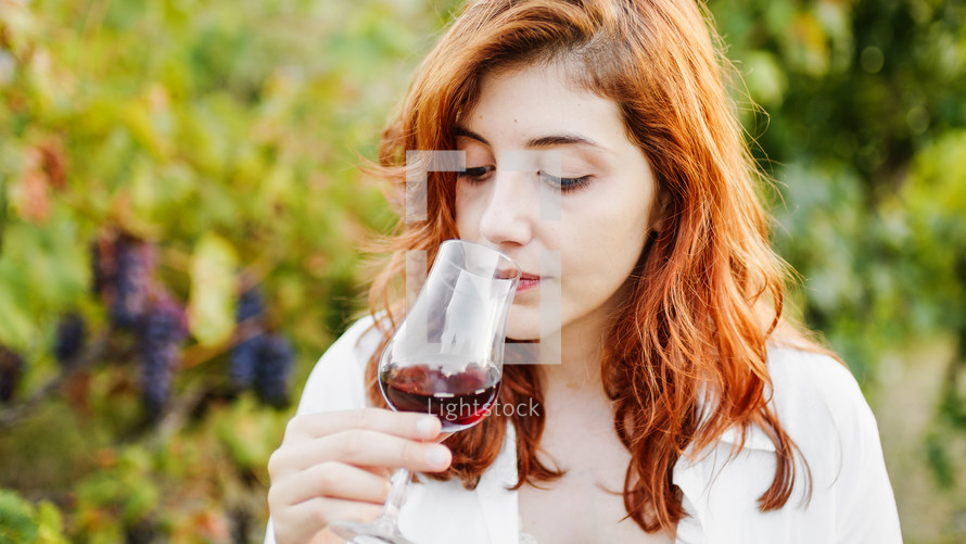 Agronomist smells red wine among the vineyards during the harvest