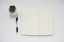 succulent plant, pen, and blank pages in a journal 
