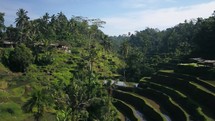 Ubud Bali Indo aerial cinematic drone 