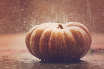 water falling on a pumpkin 