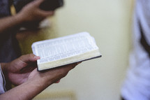 person reading a Bible during a worship service 