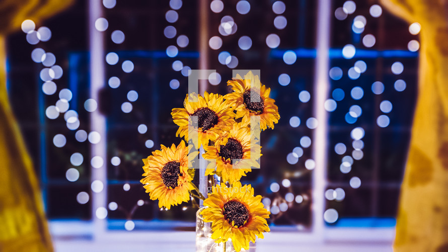 vase of sunflowers and bokeh light in a window 
