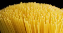 Spaghetti Italian pasta