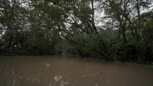 Brown Peaceful Water Of A River In Tropical Rainforest Of Ecuador. Tilt-up	