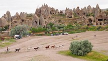 Scenic view of wild horses in the valley of Cappadocia.
