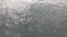shimmering water texture 