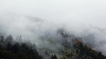 Forest fog landscape after the storm. Nature wild background. Beautiful mountain landscape. Water vapor evaporates from the forest,