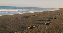 Calm ocean near the beach and footprints