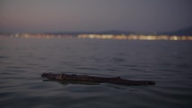 Close-up of a drifting log in a calm, dark sea at twilight, with distant city lights visible in the background.