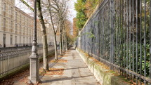 Walking on the sidewalk in quiet Paris street on sunny autumn day. Trees along the street and dry leaves on the ground, France