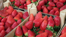 Boxes with strawberries on market