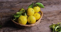 Bergamot Orange Fruit of Calabria into a Baskset 