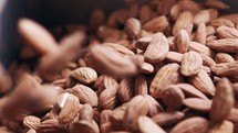 Slow motion of Almonds falling from a conveyor belt in a processing facility