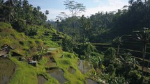 Ubud Bali Indo aerial cinematic drone