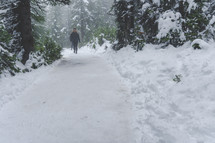 people hiking through the snow 