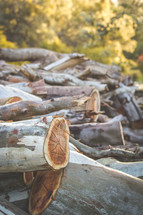 pile of logs 