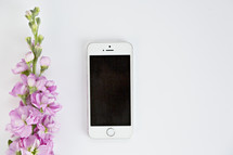 pink flower and iPhone 